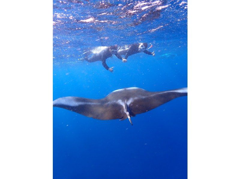 [Small number of events] [Regional coupon correspondence] [2 hours / last minute reservation OK!] Beach snorkel tour without seasickness! Relax at a local point ♪ Photo / free transfer!の紹介画像