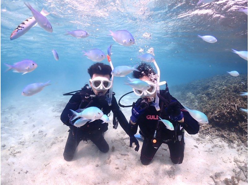 【石垣島・7時間】初心者専門｜幻の島上陸&体験ダイビング&大人気ウミガメに会いに行く【写真無料&動画プレゼント】の紹介画像