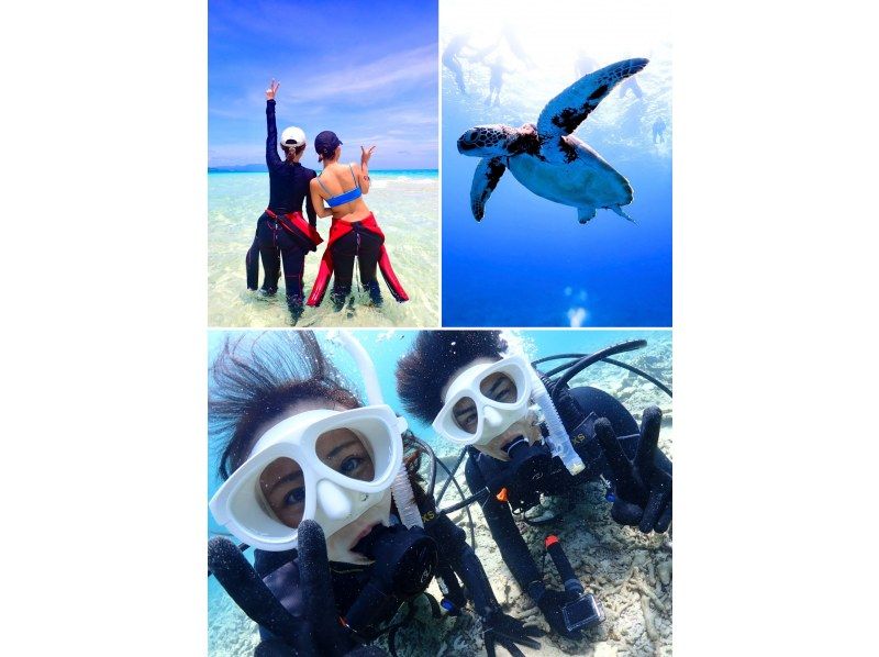 【石垣島・7時間】1日たっぷり遊び尽くそう｜初めてでもOK幻の島上陸｜体験ダイビング&遭遇率99%ウミガメシュノーケル【写真無料、送迎無料】の紹介画像