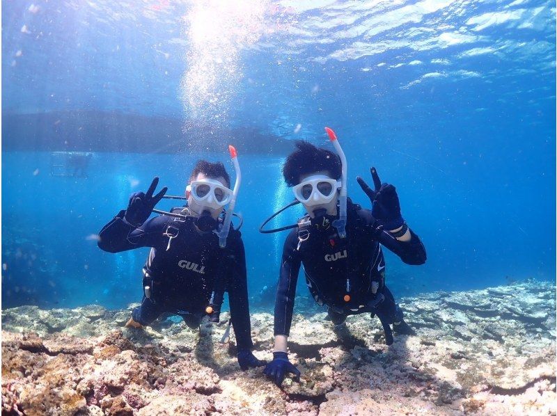 【石垣島・7時間】初心者専門｜幻の島上陸&体験ダイビング&大人気ウミガメに会いに行く【写真無料&動画プレゼント】の紹介画像