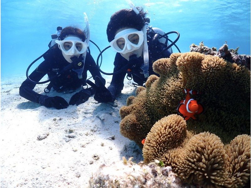 【石垣島・1日】GoProレンタル無料‼︎初心者向け体験ダイビング&ウミガメorマンタに会えるー1日たっぷり遊び尽くそう【幻の島上陸プラン】の紹介画像