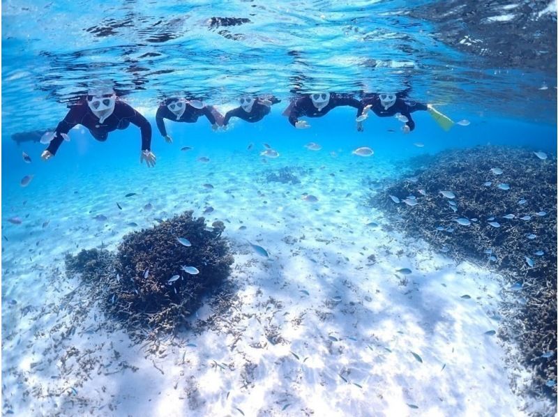 【学生価格あり】【石垣島・1日】初心者向け体験ダイビング☆大人気☆幻の島＆高確率でウミガメに会えるー1日たっぷり遊び尽くそう【写真付き】の紹介画像