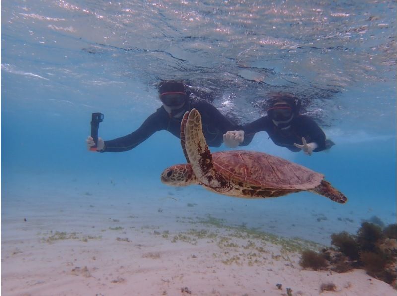 Spring sale underway! 3 great deals! Sea turtle snorkeling in Miyakojima & water attractions & spectacular mermaid experience at Maehama Beach ♡の紹介画像