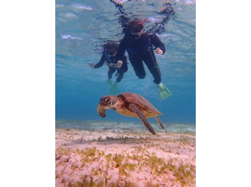 Spring sale underway! 3 great deals! Sea turtle snorkeling in Miyakojima & water attractions & spectacular mermaid experience at Maehama Beach ♡の紹介画像