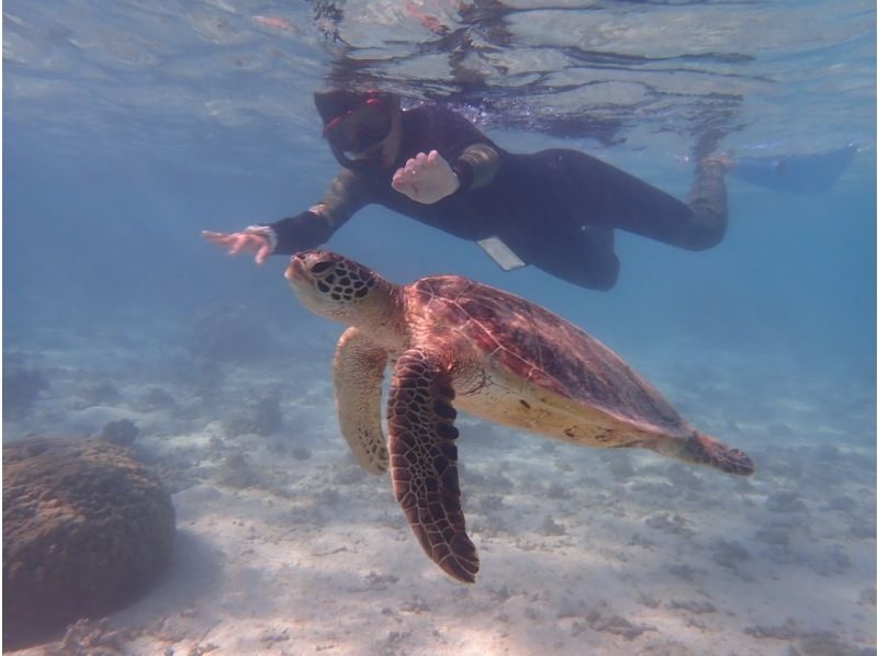 三大计划！宫古岛的海龟浮潜和水上景点以及前滨海滩壮观的美人鱼体验♡の紹介画像