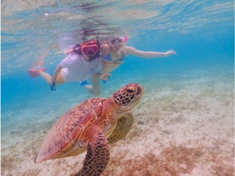 [Okinawa/Miyakojima] [Spring Sale] Beginners welcome! ☆Selectable courses☆Sea turtle/tropical fish/coral snorkeling tour (with underwater photos)の紹介画像