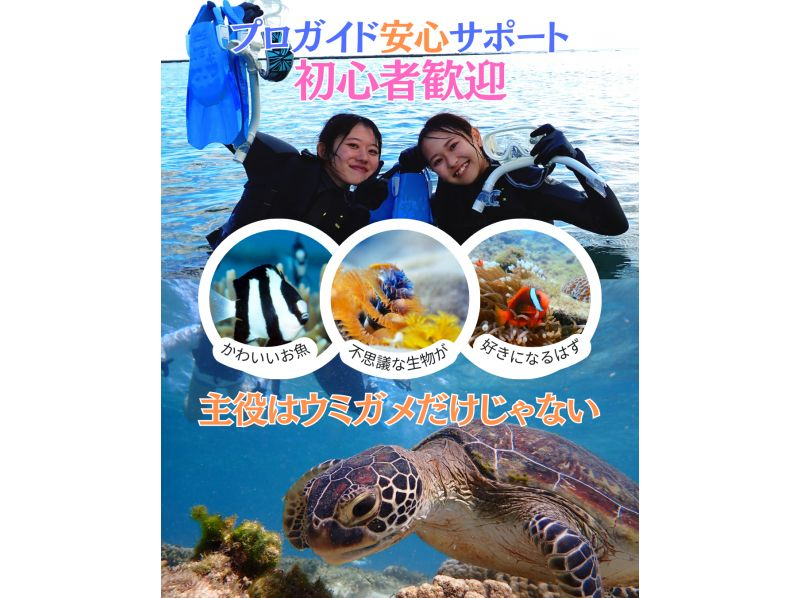 糸満から約10分/初心者歓迎『海のテーマパーク/天然水族感』ウミガメ＆100種以上を探索する自然体験シュノーケリング★送迎可★保温対策充実★の紹介画像