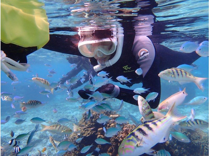 【沖縄 糸満から約15分】初心者大歓迎『海のテーマパーク・天然水族感』ウミガメ＆100種以上の生物を探索する自然体験シュノーケリング｜送迎可の紹介画像