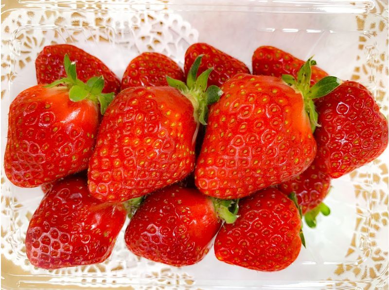 [Nagano/Karuizawa] ★No.1 in the strawberry picking ranking★A plan that includes 250g of rare summer and autumn strawberries + souvenirs♪15 minutes by car from Karuizawa Station!の紹介画像