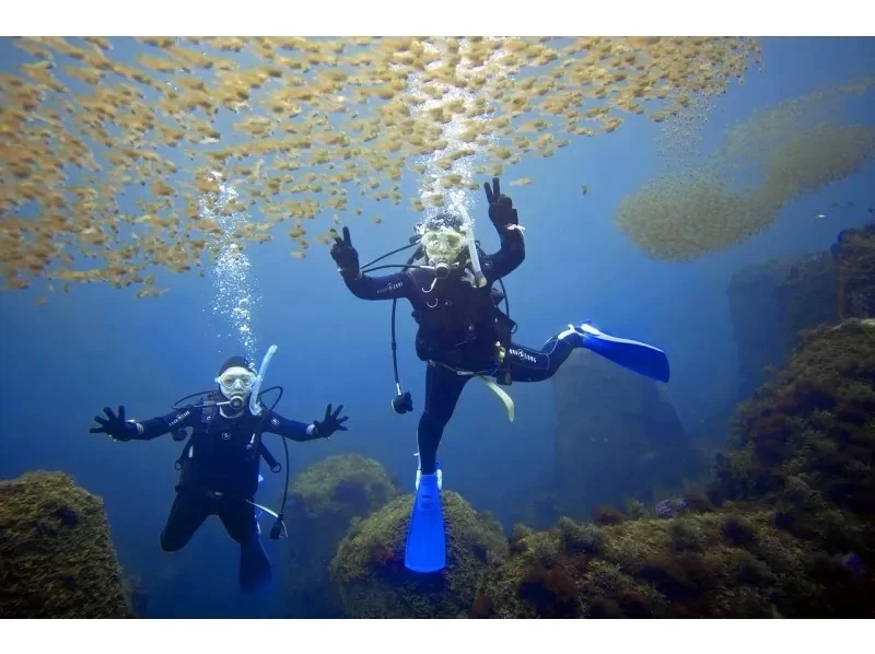 ダイビングライセンス取得【東京・渋谷/2日間~】体験ダイビング経験者向け（未経験者も受講可）学割・グループ割りの紹介画像