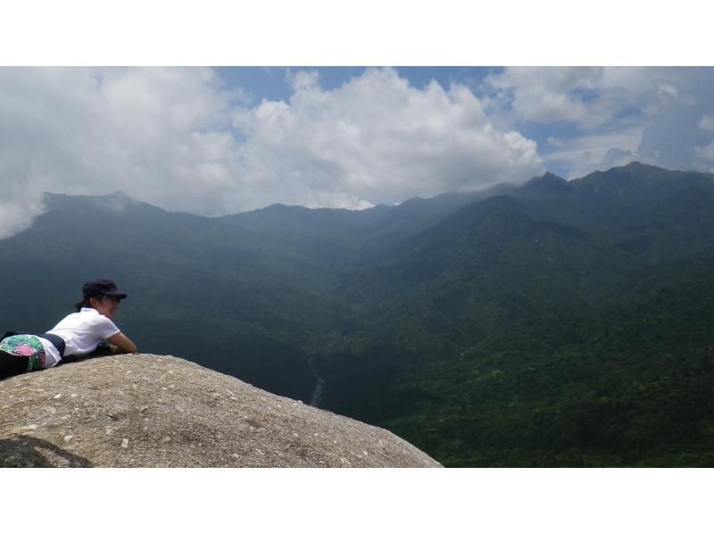 【鹿児島・屋久島】白谷雲水峡の絶景！太鼓岩を目指す一日トレッキングコース初心者OK！の紹介画像