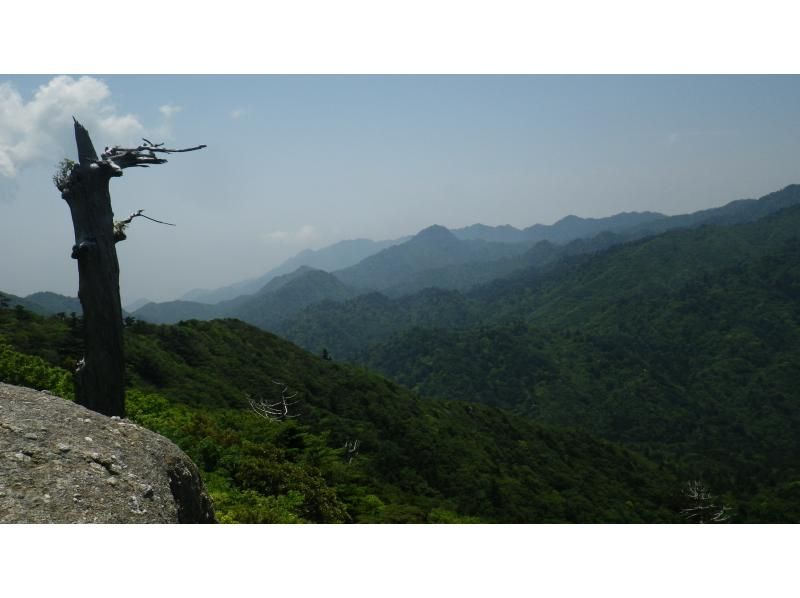 【鹿児島・屋久島】白谷雲水峡の絶景！太鼓岩を目指す一日トレッキングコース初心者OK！の紹介画像