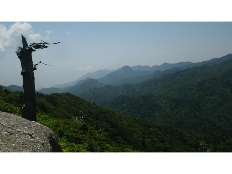 【鹿児島・屋久島】白谷雲水峡の絶景！太鼓岩を目指す一日トレッキングコース初心者OK！
