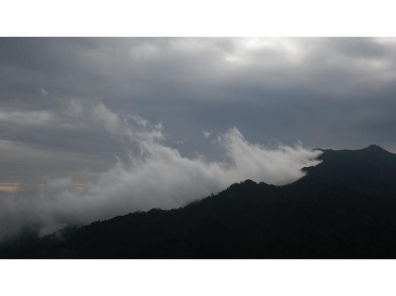 【鹿児島・屋久島】白谷雲水峡の絶景！太鼓岩を目指す一日トレッキングコース初心者OK！の紹介画像