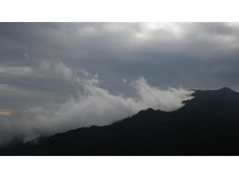 【鹿児島・屋久島】白谷雲水峡の絶景！太鼓岩を目指す一日トレッキングコース初心者OK！