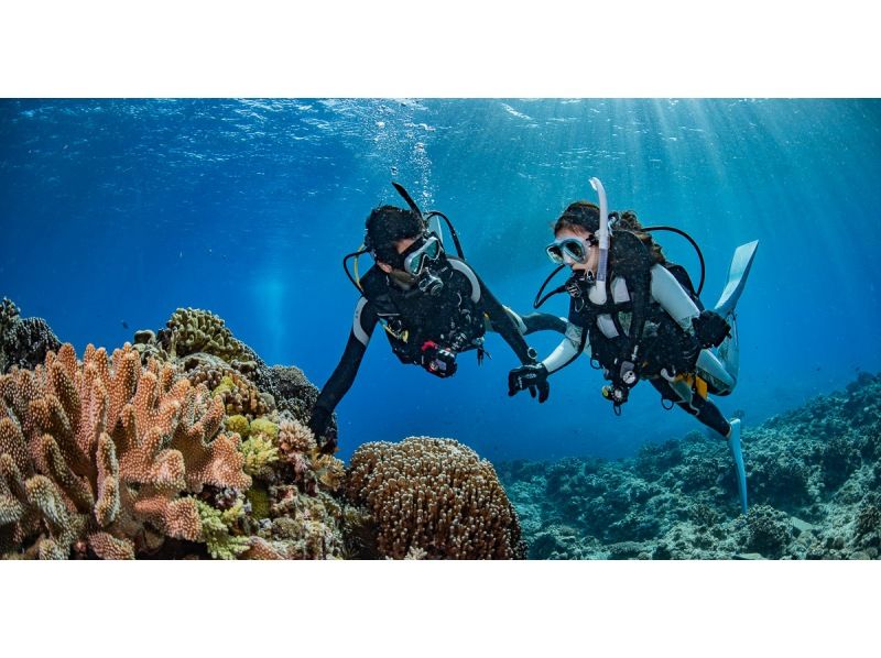 【沖縄・那覇】現地2日間PADIダイビングライセンス取得。女性お一人参加大歓迎！初心者認定27,000名超、国内トップクラスのスクールで安心の紹介画像