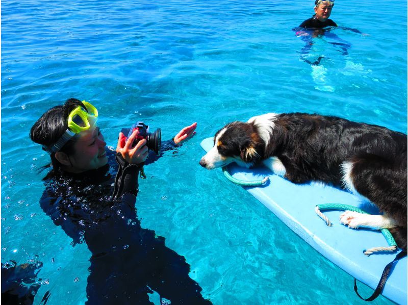 ジャングリア沖縄に近い本部町の海で愛犬とシュノーケリング！クルーザーを貸し切って愛犬と一緒に泳ごう！！の紹介画像