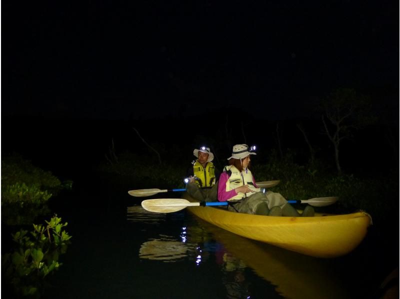 【沖縄・今帰仁】ナイトカヤック 湧き水散策なし 夜のマングローブ探検 2時間コースの紹介画像