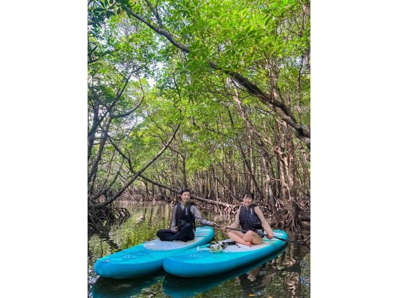 [Ishigaki Island] ★Limited to one group, private tour★《Maximum relaxation! Mangrove SUP》I'm glad I came here! I'm confident that you'll say this✨の紹介画像