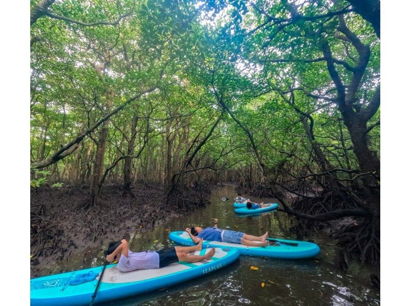 ⭐︎Fully-private tour⭐︎《Reservations on the day OK》Maximum relaxation! Mangrove SUP✨I'm glad I came here! I'm confident✨の紹介画像