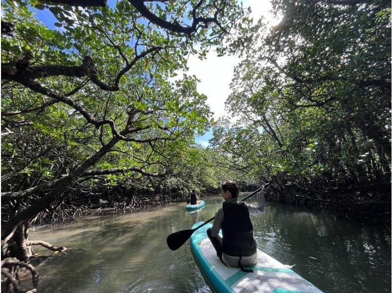 [Private tour/Ishigaki Island] Same-day reservations accepted⭐︎Maximum relaxation! Mangrove SUP《I'm glad I came here! I'm confident that you'll be happy✨》の紹介画像