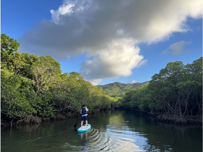 [Private tour/Ishigaki Island] Same-day reservations accepted⭐︎Maximum relaxation! Mangrove SUP《I'm glad I came here! I'm confident that you'll be happy✨》の紹介画像