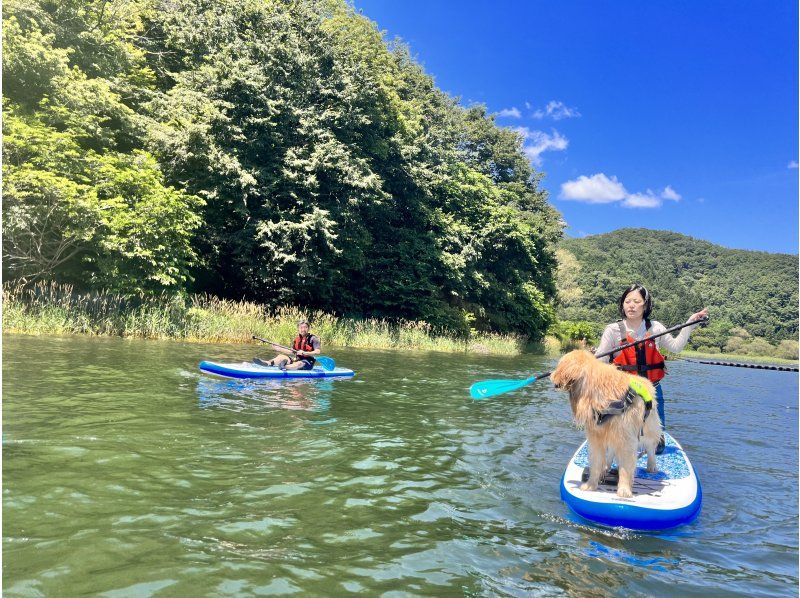 【山梨県・河口湖】早朝プラン　SUP(サップ)体験ツアーの紹介画像