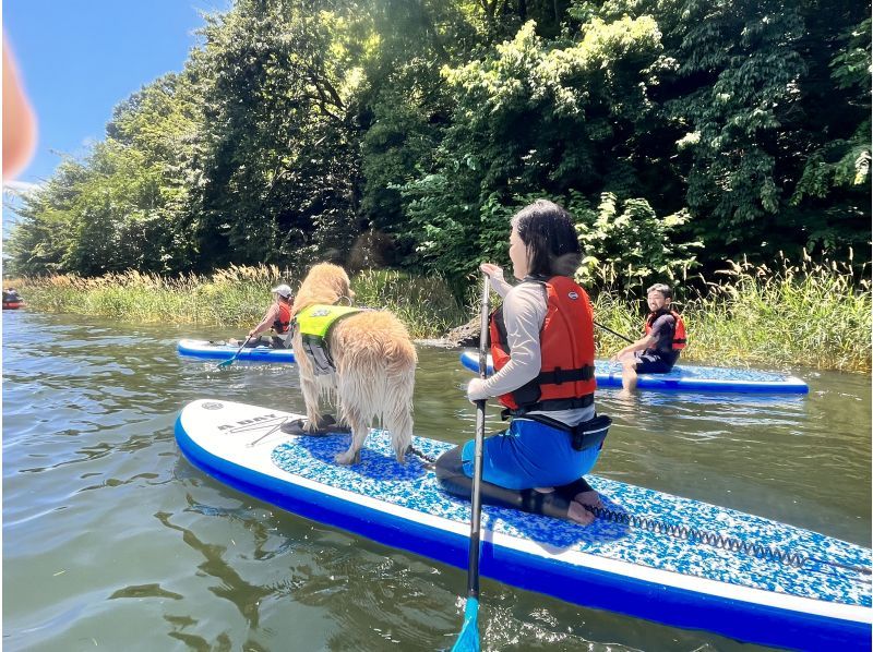 【山梨県・河口湖】早朝プラン　SUP(サップ)体験ツアーの紹介画像