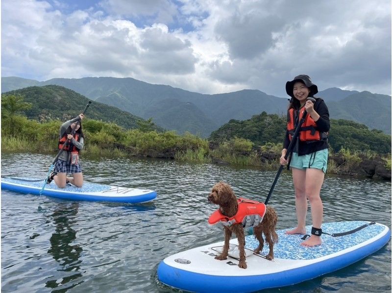 【山梨県・河口湖】早朝プラン　SUP(サップ)体験ツアーの紹介画像