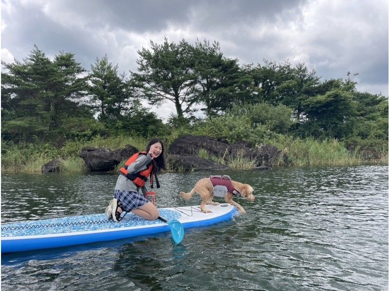 【山梨県・河口湖】早朝プラン　SUP(サップ)体験ツアーの紹介画像