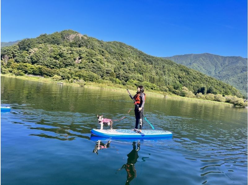 【山梨県・河口湖】早朝プラン　SUP(サップ)体験ツアーの紹介画像