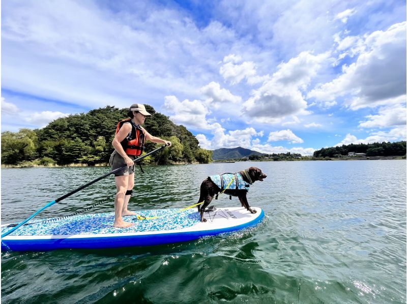 【山梨県・河口湖】日中プラン　SUP(サップ)体験ツアー　♪ワンちゃんオッケー♪の紹介画像