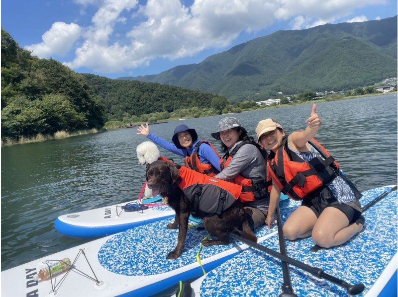 【山梨県・河口湖】日中プラン　SUP(サップ)体験ツアー　♪ワンちゃんオッケー♪の紹介画像