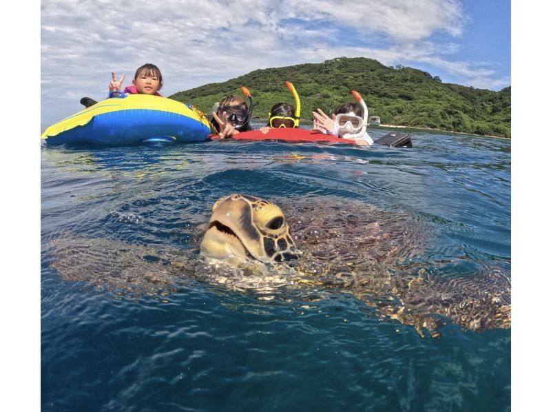 【石垣島】★ウミガメ見れなきゃ全額返金★安心安全少人数制ウミガメシュノーケリング〈１日６便・当日予約OK〉写真データ・機材・送迎無料の紹介画像