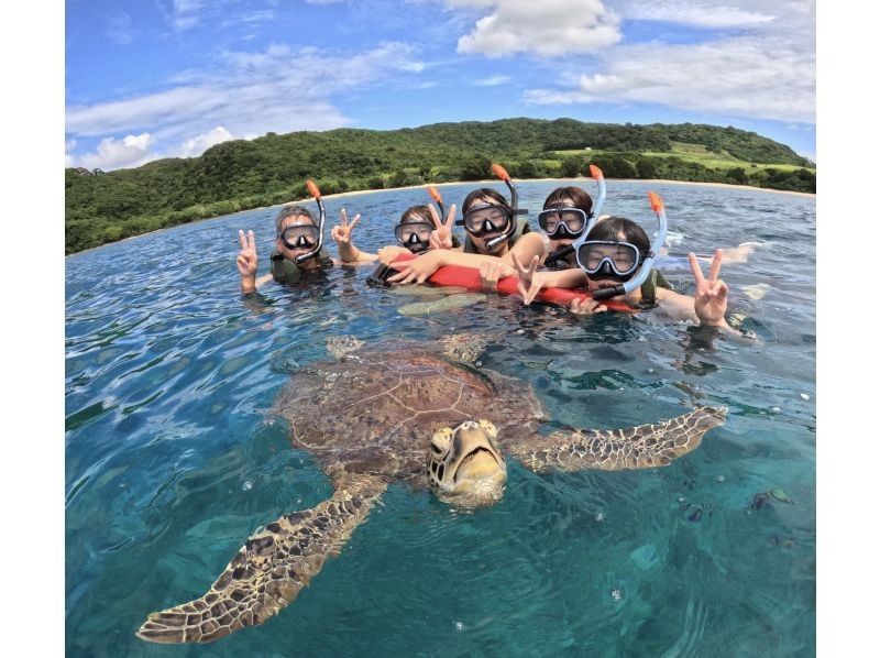 【ウミガメ見れなきゃ全額返金】安心安全・少人数制ウミガメシュノーケリング〈１日６便・当日予約OK〉写真データ・機材・送迎無料の紹介画像
