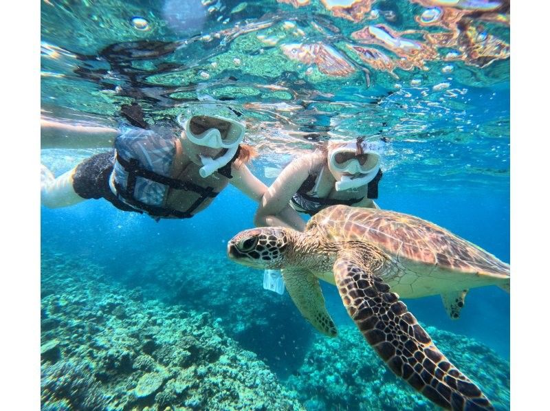 【ウミガメ見れなきゃ全額返金】安心安全・少人数制ウミガメシュノーケリング〈１日６便・当日予約OK〉写真データ・機材・送迎無料の紹介画像