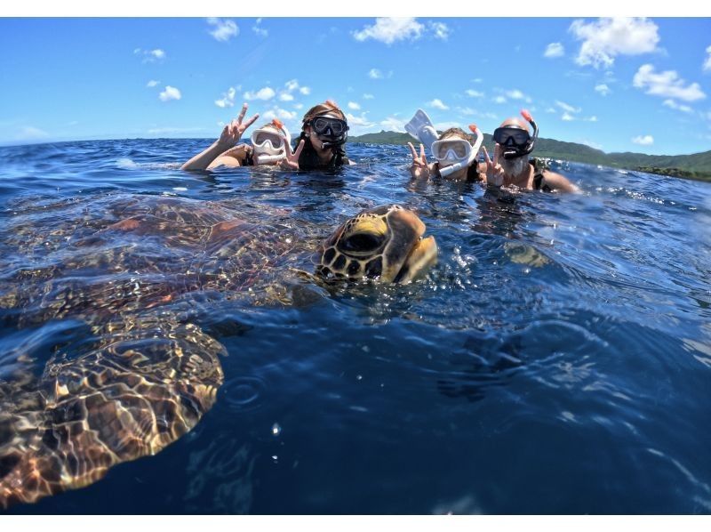 【ウミガメ見れなきゃ全額返金】安心安全・少人数制ウミガメシュノーケリング〈１日６便・当日予約OK〉写真データ・機材・送迎無料の紹介画像