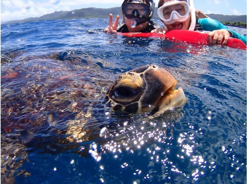 【ウミガメ見れなきゃ全額返金】安心安全・少人数制ウミガメシュノーケリング〈１日６便・当日予約OK〉写真データ・機材・送迎無料の紹介画像