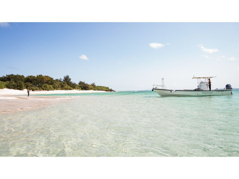 [Popular with families] Chartered boat for 4 hours, spectacular snorkeling, fishing experience, uninhabited island, Tsuken Island, same day, empty-handed! Complete with toiletの紹介画像