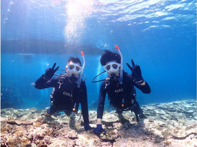 【石垣島・午前、午後2便・3時間】旅行日程に合わせやすい｜初心者向け｜専属ガイドがご案内｜体験ダイビング&ウミガメシュノーケルー写真無料ーの紹介画像