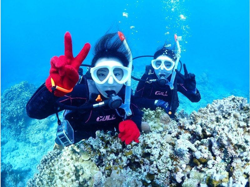 【石垣島・午前、午後2便・3時間】旅行日程に合わせやすい｜初心者向け｜専属ガイドがご案内｜体験ダイビング&ウミガメシュノーケル【写真無料】の紹介画像