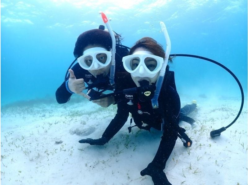 【学割】【石垣島・午後】初めてで不安がいっぱいそんなあなたへ！ウミガメシュノーケル&初心者向け体験ダイビングー午前中に到着する方におすすめ！の紹介画像