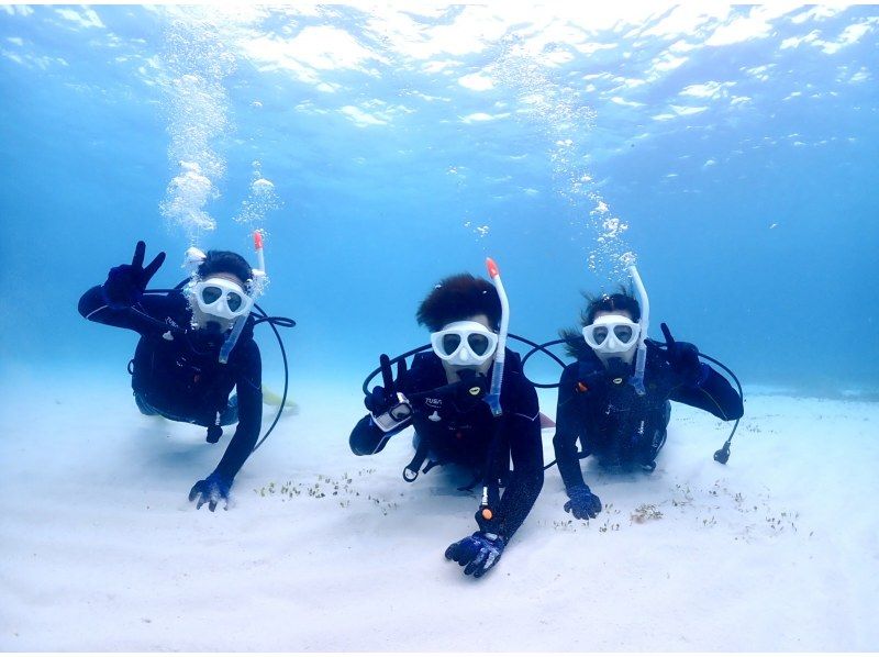 【石垣島・午前、午後2便・3時間】旅行日程に合わせやすい｜初心者向け｜専属ガイドがご案内｜体験ダイビング&ウミガメシュノーケルー写真無料ーの紹介画像