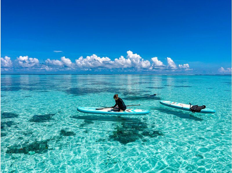 [Ishigaki Island] ★Private tour limited to one group★SUP《To Ishigaki Island's No. 1 beautiful sea‼》I'm glad I came here! I'm confident✨の紹介画像