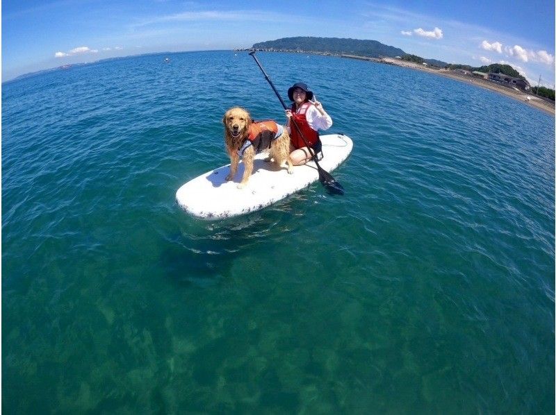 UMI　to　YAMA(ウミトヤマ)のSUP（サップ）体験ツアーを愛犬を楽しむ様子