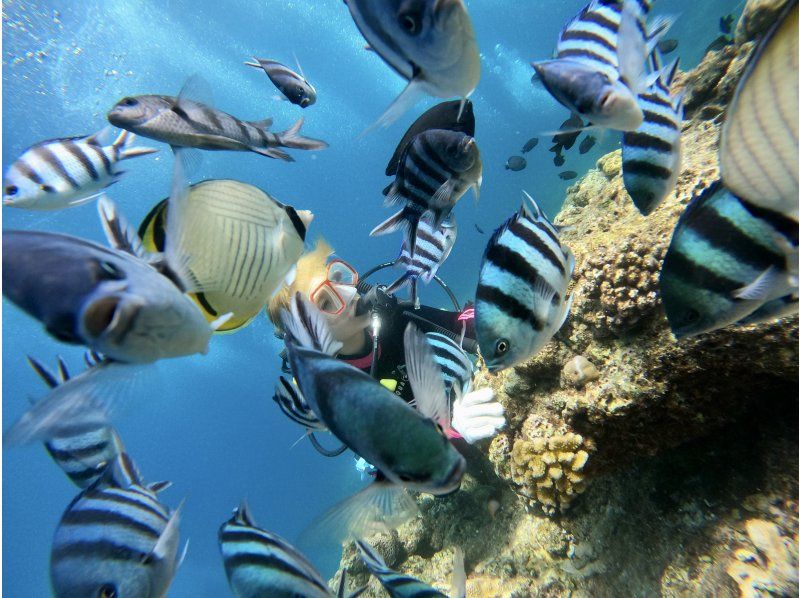 青の洞窟 体験ダイビング【沖縄・恩納村】《送迎 可能》※送迎範囲あり★GoPro撮影データ無料プレゼントの紹介画像