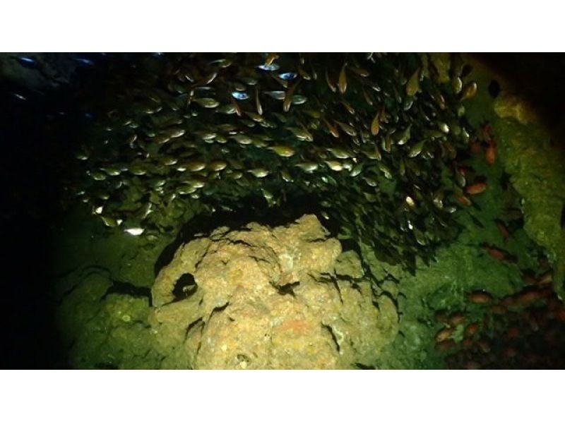 青の洞窟 体験ダイビング【沖縄・恩納村】《送迎 可能》※送迎範囲あり★GoPro撮影データ無料プレゼントの紹介画像