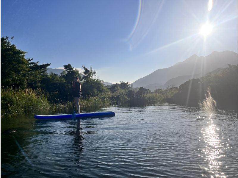 【山梨県・河口湖】夕方サンセット　SUP(サップ)体験ツアー　♪ワンちゃんオッケー♪の紹介画像
