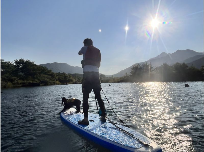 【山梨県・河口湖】夕方サンセット　SUP(サップ)体験ツアー　♪ワンちゃんオッケー♪の紹介画像