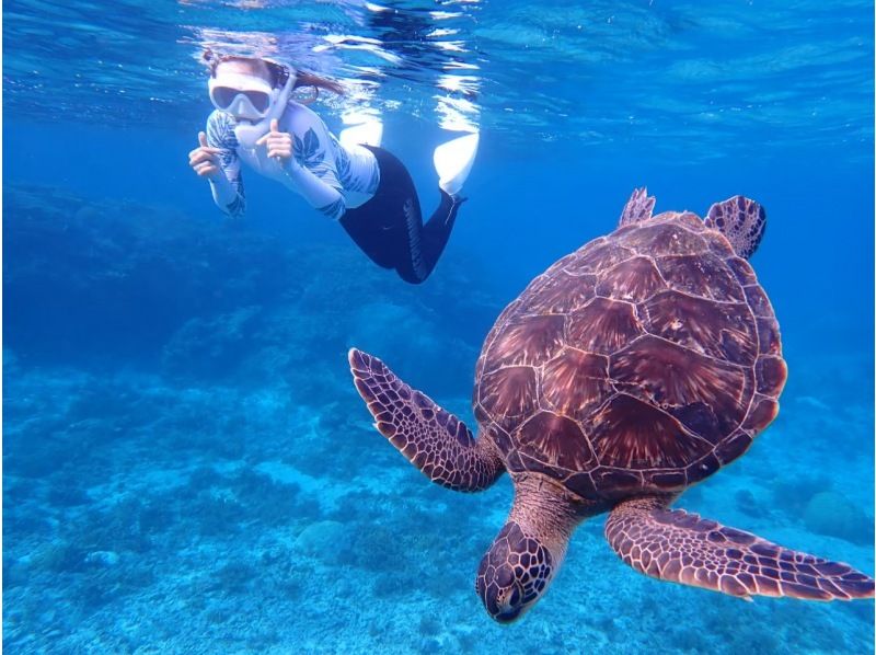 [Miyakojima / Private tour for one group] Snorkeling tour where you can swim with sea turtles! 100% chance of encountering them! We will show you all the sea turtles, Nemo, and coral!!の紹介画像